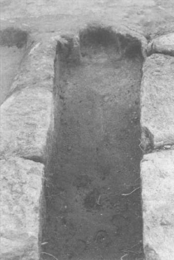 Northern Portugal: typical rock grave