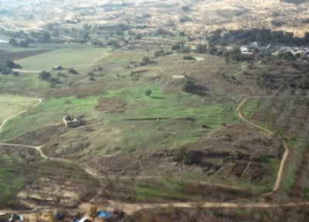 Ashdod: the hill of ruins (tell) is almost
                      invisible by the fields