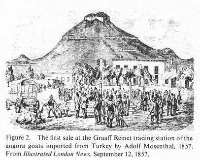 Encyclopaedia Judaica (1971): Jews in South Africa,
                vol. 15, col. 187: The first sale at the Graaff Reinet
                trading station of the angora goats imported from Turkey
                by Adolf Mosenthal, 1857. From: Illustrated London News,
                September 12, 1857.