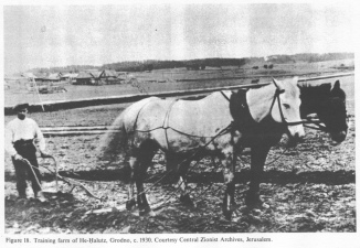 Encyclopaedia Judaica (1971): Poland, vol. 13, col.
                747-748. Training farm of He-Halutz, Grodno, c. 1930.
                Courtesy Central Zionist Archives, Jerusalem