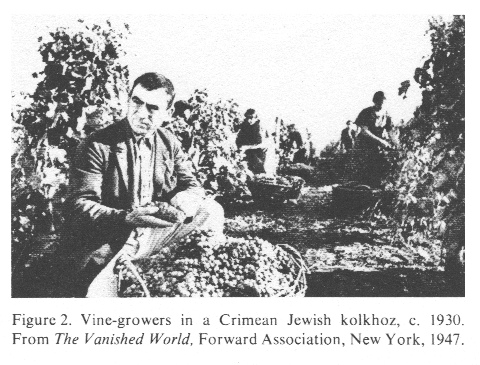 Encyclopaedia Judaica (1971):
Crimea, vol. 5, col. 1107, Jewish winegrowers in
Crimea, 1930 approx. Encyclopaedia Judaica (1971): Crimea, vol. 5,
col. 1107, Jewish winegrowers in Crimea, 1930
approx.
