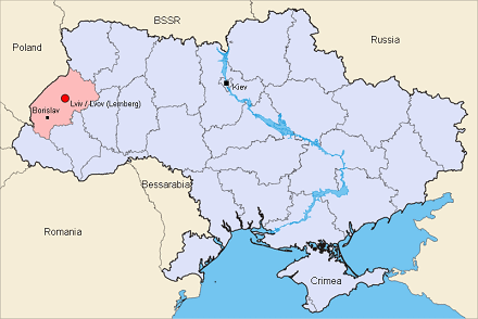 Map of Ukraine with the positions of Lviv
                  (Lemberg), Borislav (Borislau) and Kiev (Kiew)