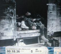 KZ Dachau bei
                          Kriegsende 03: H�ftlinge fast tot im
                          G�terwagen