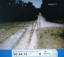 Chemiefabrik Falkenhagen
                        02, Bahngeleise mit Waldschneise