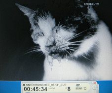 NS-Film "Kampfstoffe" 09, der
                        Katze l�uft der Speichel aus dem Maul