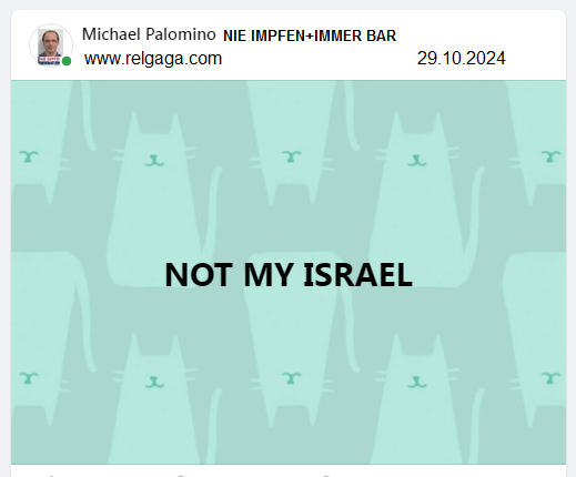 Widerstand:
                    NOT MY ISRAEL