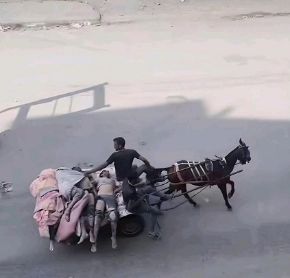 Killer-Israel im Gazastreifen-KZ am 7.7.2025 -
19:15h: Alles morden, alles killen, so dass Leichen
auf dem Eselwagen fahren Killer-Israel im
Gazastreifen-KZ am 7.7.2025 - 19:15h: Alles morden,
alles killen, so dass Leichen auf dem Eselwagen
fahren