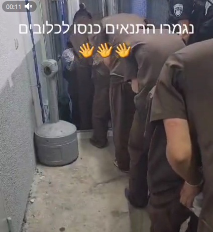 gefangene Palästinenser in den IL-Gefängnissen dürfen nicht mehr normal laufen, sondern müssen alle geduckt in Einerreihe laufen - Folter gefangene Palästinenser in den IL-Gefängnissen dürfen nicht mehr normal laufen, sondern müssen alle geduckt in Einerreihe laufen - Folter