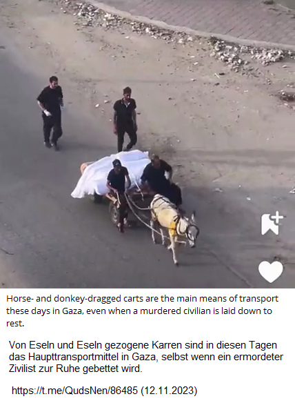 Gazastreifen-KZ 12.11.2023: Palästinenser transportieren Leichen auf dem Eselwagen Gazastreifen-KZ 12.11.2023: Palästinenser transportieren Leichen auf dem Eselwagen