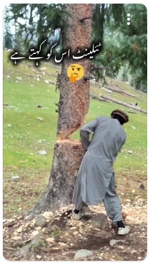 Baum f�llen: Der Baum
                    steht bis zum Schluss gerade und nicht geneigt