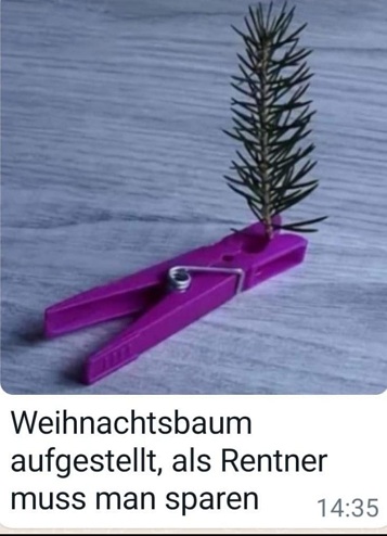 Der
                    Mini-"Weihnachtsbaum"