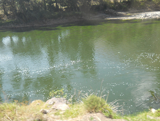 Der mit den Abw�ssern von Cusco
                  verseuchte Urubambafluss 01