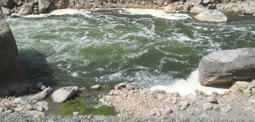 Der mit den Abw�ssern von Cusco
                  verseuchte Urubambafluss 03, Nahaufnahme des Schaums,
                  die Kloake von Cusco