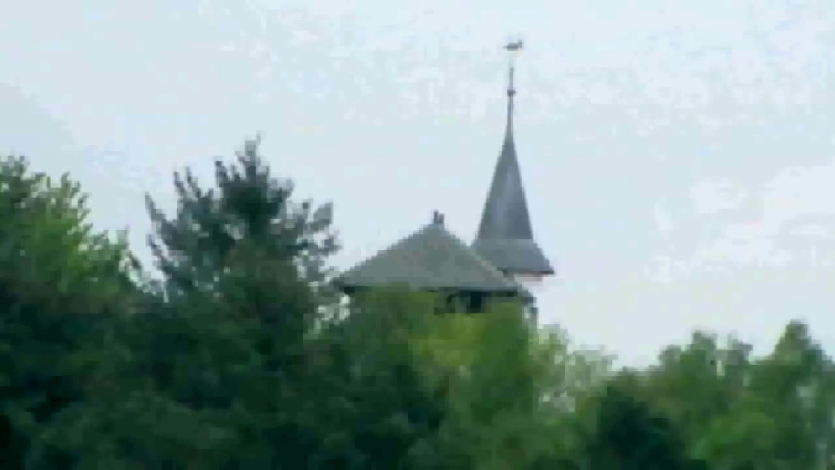 Castle in the forest near Holten (Holland), view