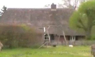 Holten (Holanda), la granja de los abuelos
                cat�licos sat�nicos - vista de atr�s (2'1'')