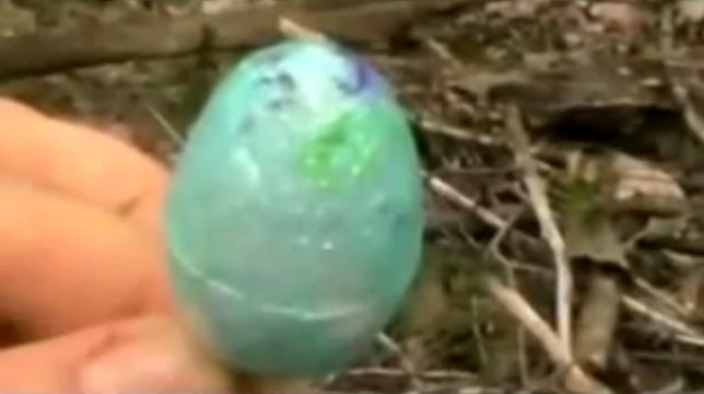 Holten (Holland), ein Anh�nger eines M�dchens aus
                  dem Waldgrab, Nahaufnahme 02 (2h27'12'')