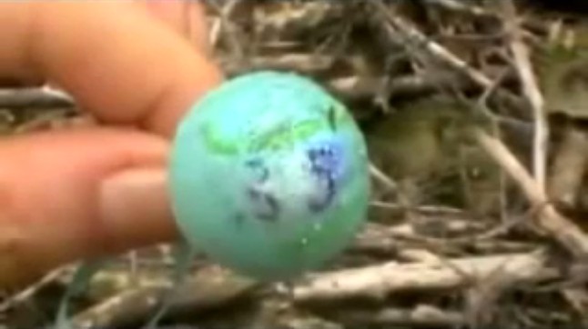 Holten (Holland), ein Anh�nger eines M�dchens aus
                  dem Waldgrab, Nahaufnahme 01 (2h27'8'')