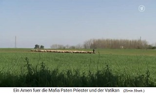 Kalabrien,
                      Schafherde