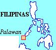"Philippinen":
                              Karte mit der Insel Palawan