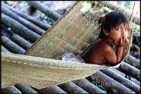 Orinoco Delta Venezuela : Kind in
                          H�ngematte / child in hammock / nino ni�o en
                          hamaca