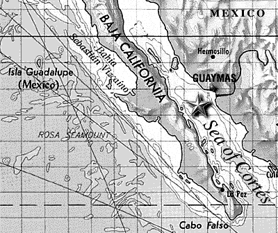 Map with the position of
                            Guadalupe Island (Mexico) with the holy
                            Maria of Guadalupe