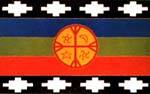 Mapuche: Fahne / bandera