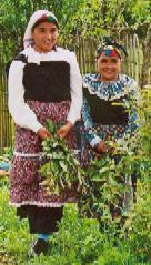 Chile: Mapuche-Frauen