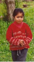 Mapuche daughter in
                              today's Chile