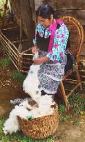 Mapuche woman preparing
                              wool