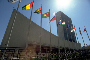 Die
                              UNO in New York