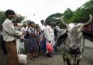 Bombay / Mumbai Kuh auf der
                        Strasse / vacca en la calle / cow in the street
                        / vache dans la rue
