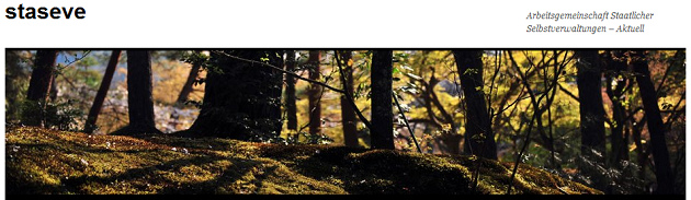 Staseve online, Logo